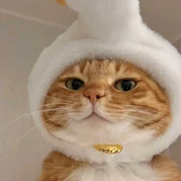 nhỏ viết truyện mà tứk😡💢