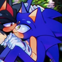 Sonic💨