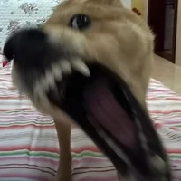 Tgg!!