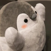 t/g:)