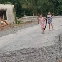 tác giả đi hái củi