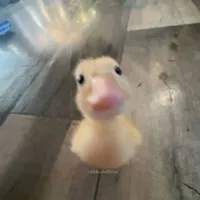 giánn~☆