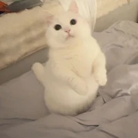 :)))