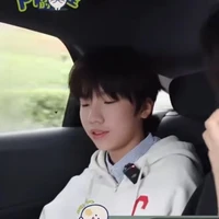 nhiếp thiếu gia