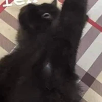 All