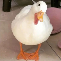 ？？？