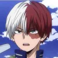 todoroki shoto
