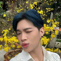 Nguyễn Thanh Pháp_Pháp Kiều