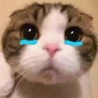 đi chs cùng tg