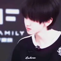 Tả kì hàm (bé nhím)