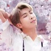 Kim Nam Joon