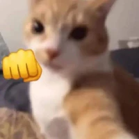 bà cô