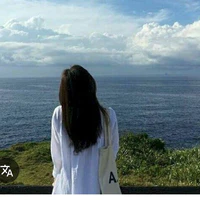 ChiraWan ( Y/N )