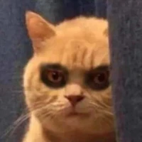 [tác giả]xàm còn trẩu