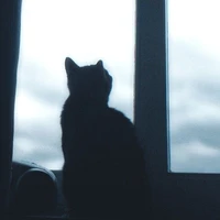 không biết để tên gì