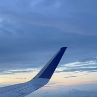 tất cả trừ ai đấy