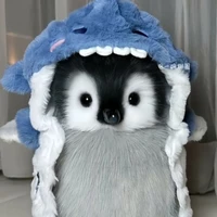 𝐚𝐥𝐥𝐭𝐨𝐩