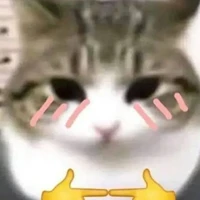 𝚖𝚗 𝚝𝚛𝚘𝚗𝚐 𝚗𝚑𝚘́𝚖 𝚌𝚊𝚙