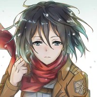 Mikasa