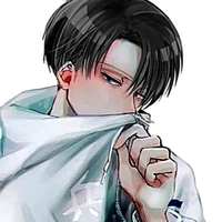 Levi