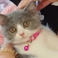 con t/g lười 😔💅