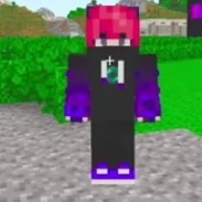 hiha enderman