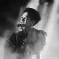 Hoàng Kim Long