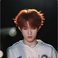 Tô Tân Hạo