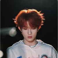 Tô Tân Hạo