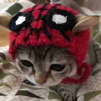Meow [t/g]