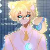 Hiha anticatnap