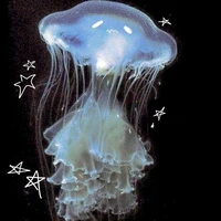 Jelly[TH-018]