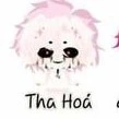 thả hóa