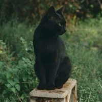 Hệ Thống - Dĩ Ninh