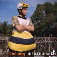 HieuThuHaii
