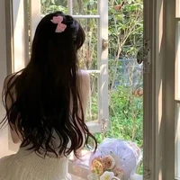 Hoàng Châu Lạc Vân (Turtle)