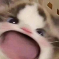 tôi