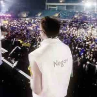 Dàn hậu cung của em An