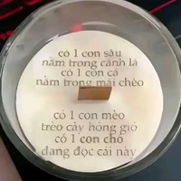 T/g ghét con hãm ship Capsam