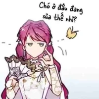 Hội con gái