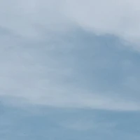 mọi người (trừ ai thì trừ)