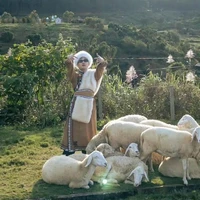 Hoàng Đức Duy(Captain Boy)