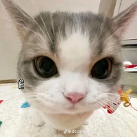 Tác giả Iồn