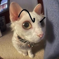 Hai chụy em🥰_(hihe,hihi)