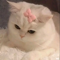 nhỏ tác giả 