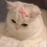nhỏ tác giả 