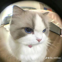 Linhthaoo