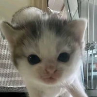 TG tập thành viết truyện🤍