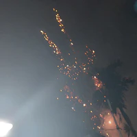 Nv phụ