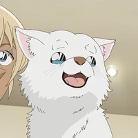 😽Haru